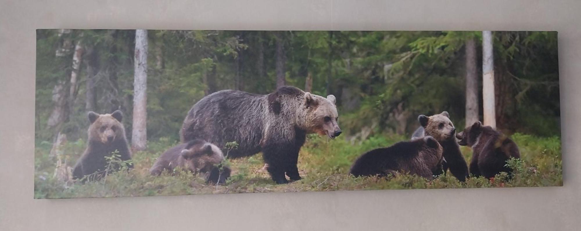 Hotel Les Deux Cols Sainte-Marie-de-Campan Eksteriør billede